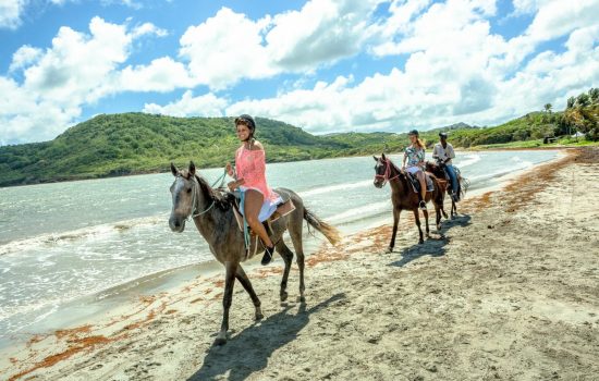 st-lucia-horse-back-riding-tour