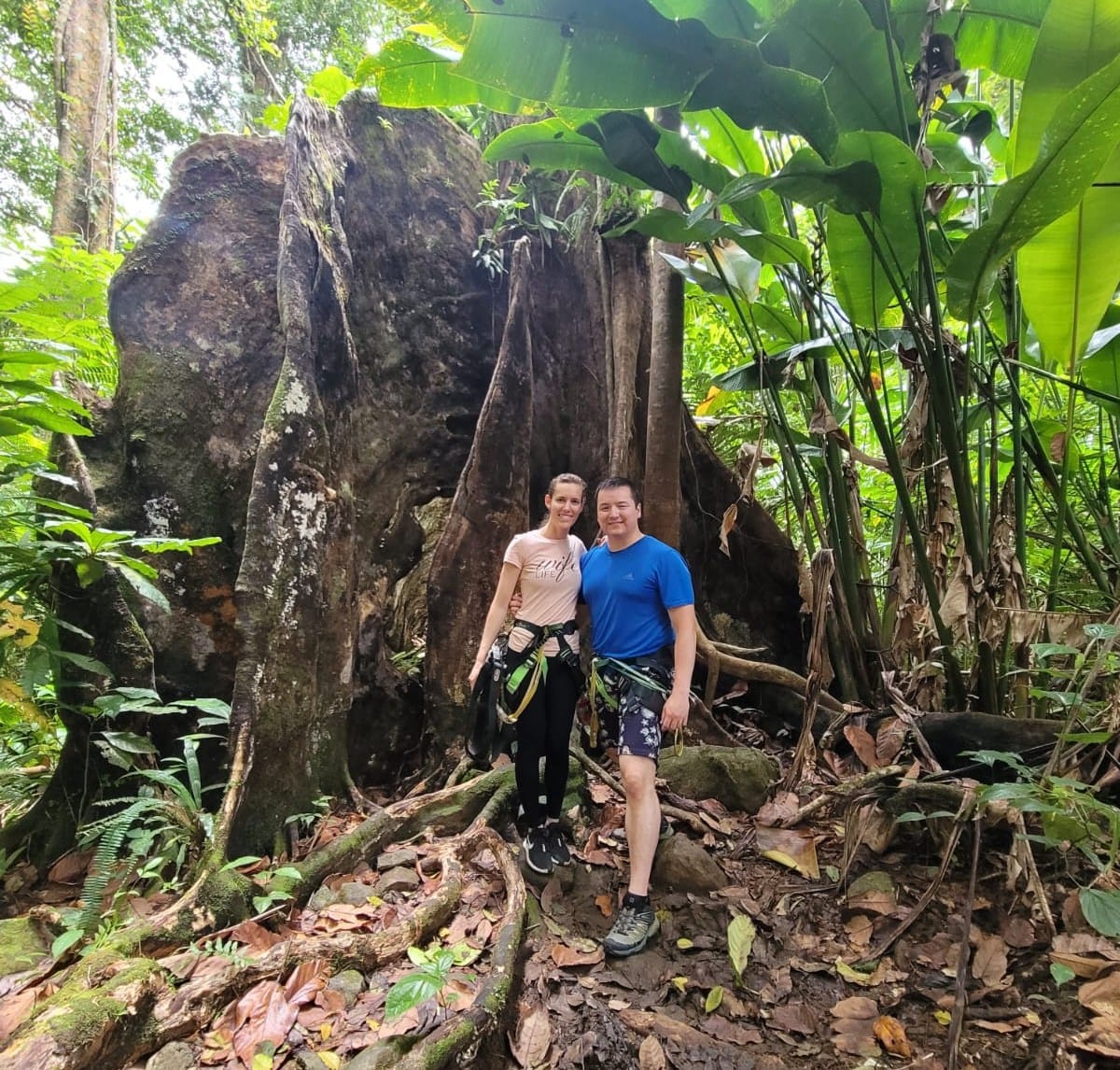 Rainforest-Zipline-3