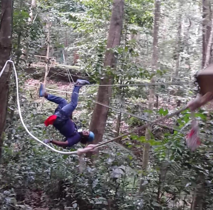 Rainforest-Zipline-6