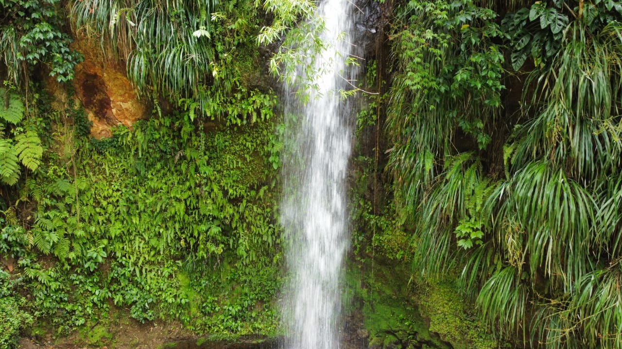 WhatsApp Image 2023-07-12 at 22.12.55