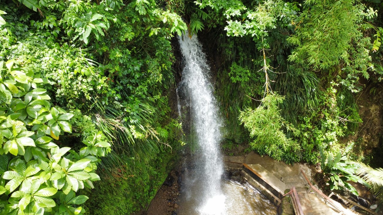 WhatsApp Image 2023-07-12 at 22.13.04